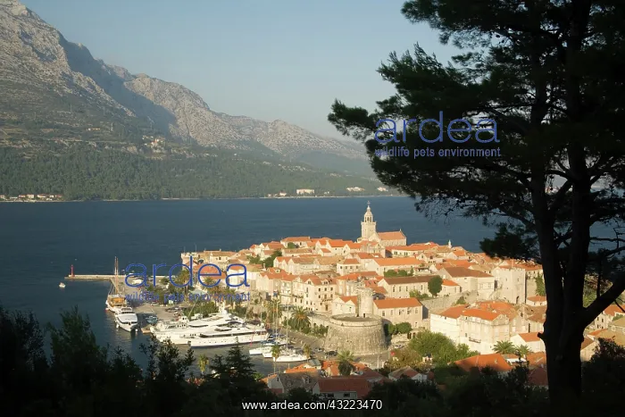: Croatia, Dalmatia, Korcula Island, Korcula : Croatia, Dalmatia, Korcula Island, Korcula