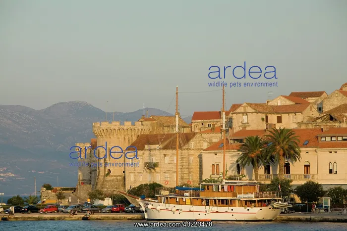 : Croatia, Dalmatia, Korcula Island, Korcula : Croatia, Dalmatia, Korcula Island, Korcula