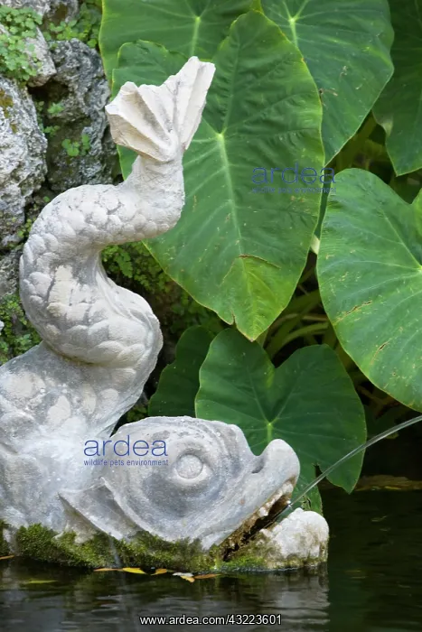 : Croatia, Dalmatia, Trsteno. Stone fountains : Croatia, Dalmatia, Trsteno. Stone fountains