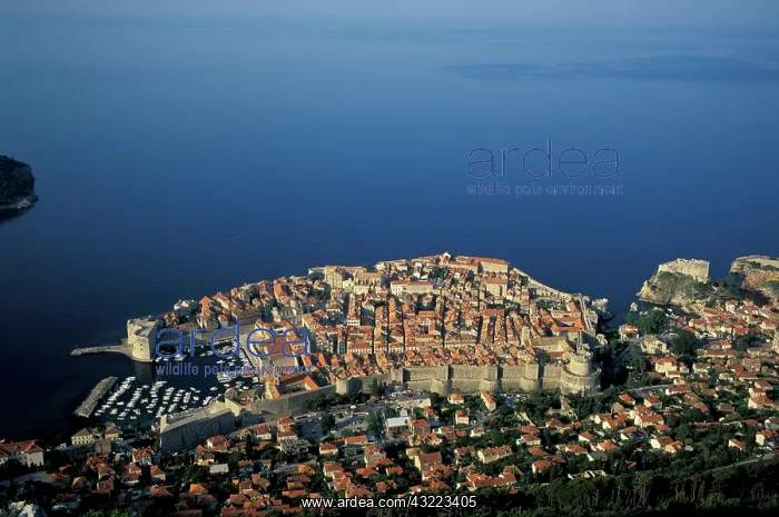 : Croatia, Dalmatian Coast, Dubrovnik. Old : Croatia, Dalmatian Coast, Dubrovnik. Old