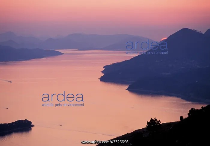 : Croatia, Dalmatian Coast. Sunset : Croatia, Dalmatian Coast. Sunset