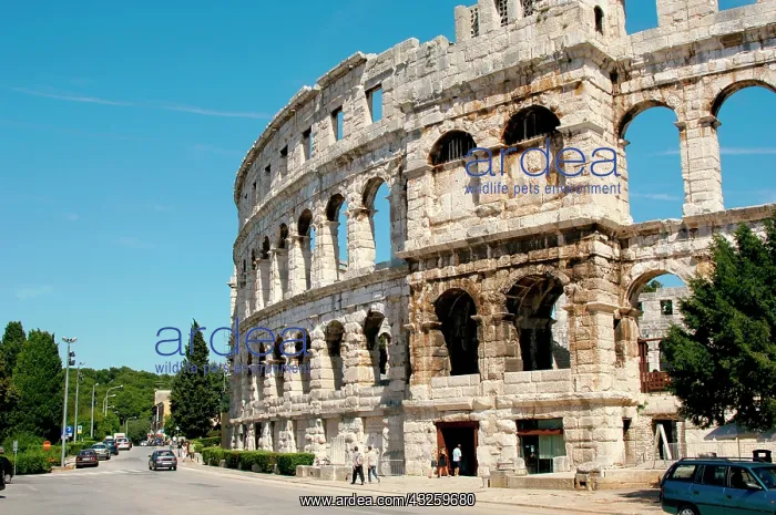 : Croatia. Roman Amphitheater. Built in the : Croatia. Roman Amphitheater. Built in the