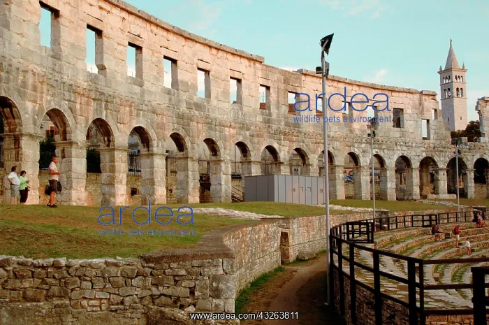 : Croatia. Roman Amphitheater. Built in the : Croatia. Roman Amphitheater. Built in the