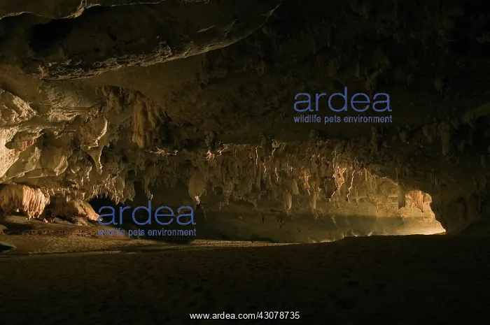 : Crocodile Cave, Madagascar : Crocodile Cave, Madagascar