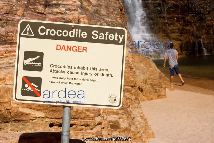 : Crocodile safety sign - a crocodile safety sign : Crocodile safety sign - a crocodile safety sign