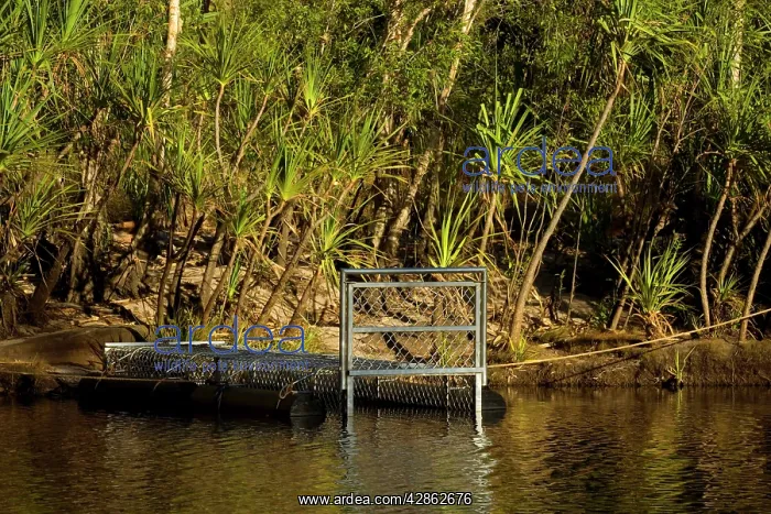 : Crocodile trap - a big crocodile trap is set to : Crocodile trap - a big crocodile trap is set to