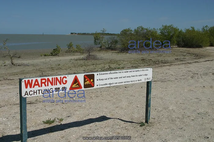 : Crocodile warning sign : Crocodile warning sign