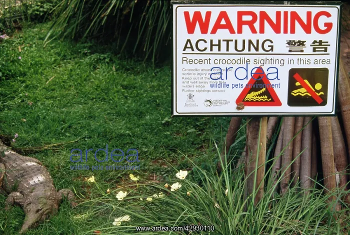 : Crocodile Warning SIGNS : Crocodile Warning SIGNS