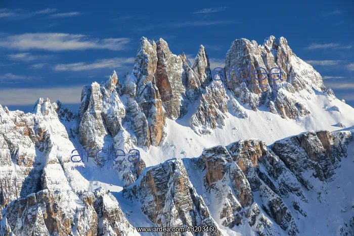 : Croda da Lago, Dolomites, Italy, Europe : Croda da Lago, Dolomites, Italy, Europe