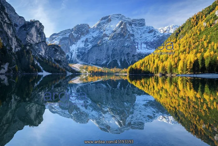 : Croda del Becco, Seekofel, reflected in lake in : Croda del Becco, Seekofel, reflected in lake in