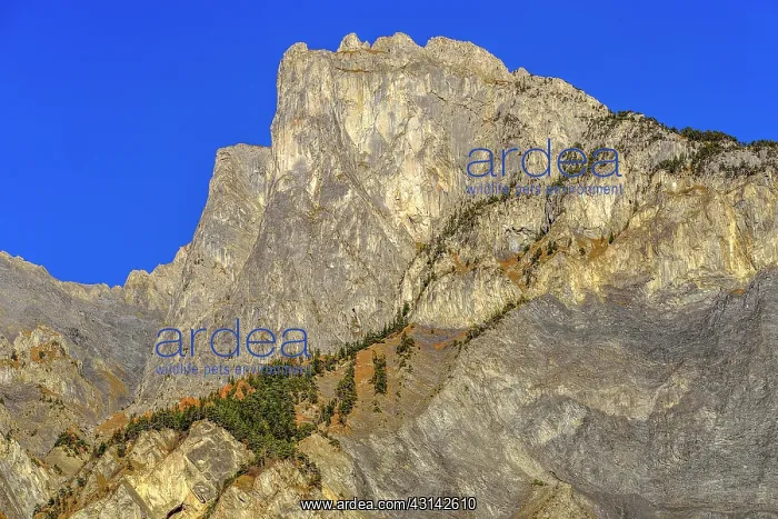 : Croix des Tetes, Belvedere remarkable limestone : Croix des Tetes, Belvedere remarkable limestone