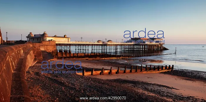 : Cromer Pier : Cromer Pier