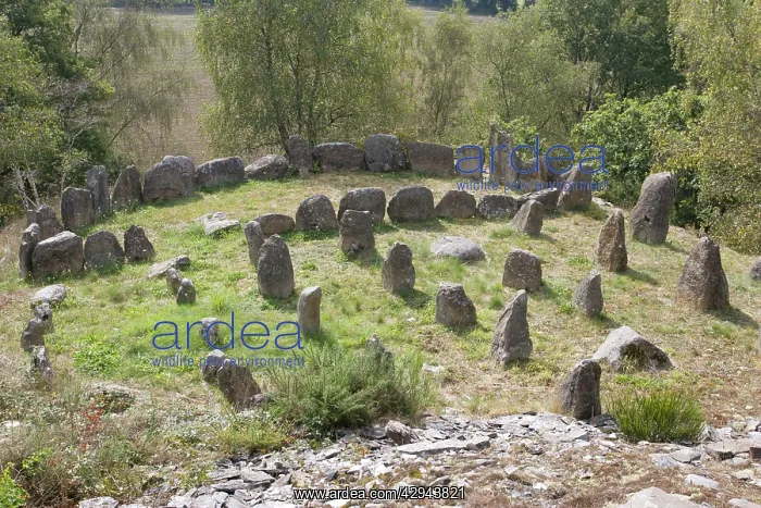 : Cromlech or circles of standing stones : Cromlech or circles of standing stones