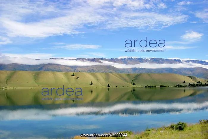 : Cromwell, Lake Dunstan, New Zealand. Amazing : Cromwell, Lake Dunstan, New Zealand. Amazing