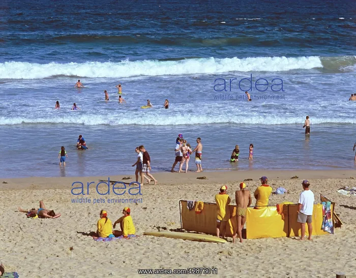 : Cronulla Point beach Sydney : Cronulla Point beach Sydney
