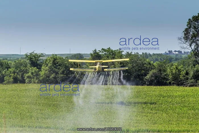 : A crop duster applies chemicals to a field of ve : A crop duster applies chemicals to a field of ve