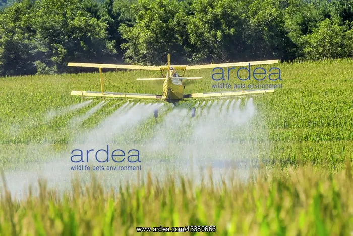 : A crop duster applies chemicals to a field of ve : A crop duster applies chemicals to a field of ve