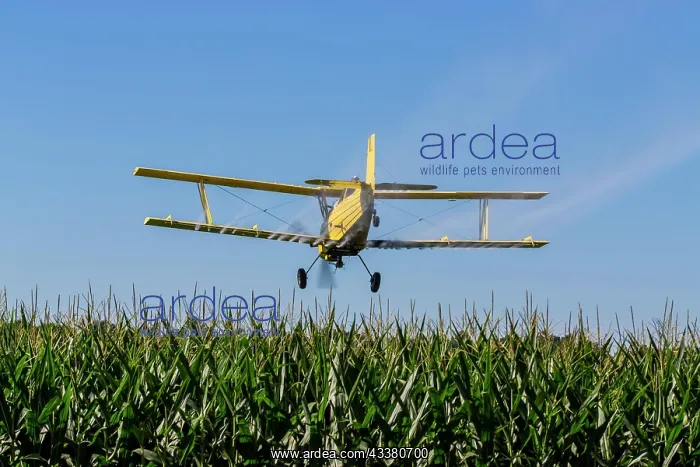 : A crop duster applies chemicals to a field of ve : A crop duster applies chemicals to a field of ve