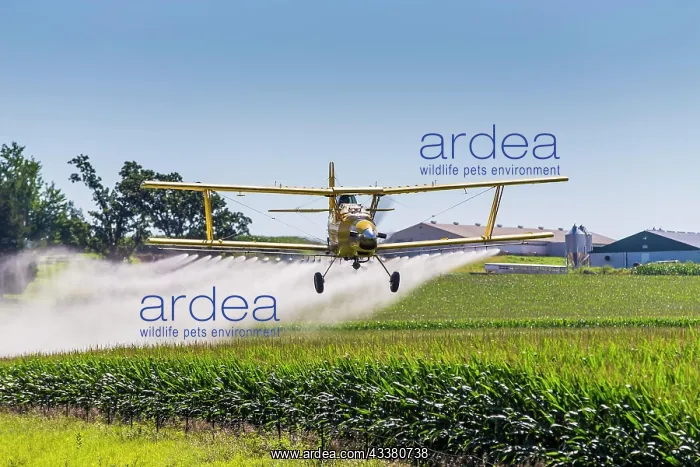 : A crop duster applies chemicals to a field of ve : A crop duster applies chemicals to a field of ve