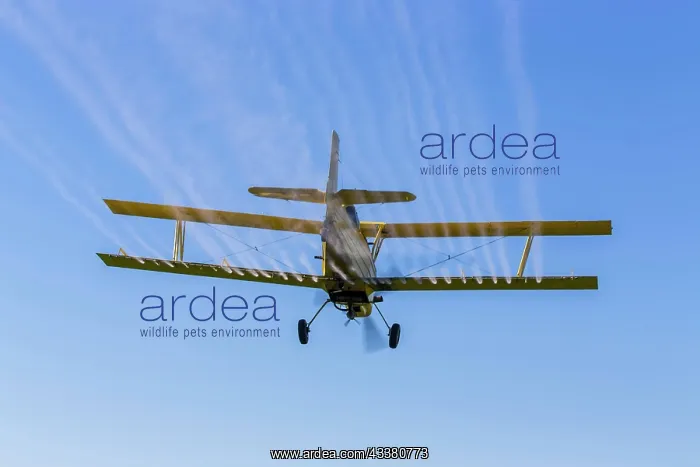 : A crop duster applies chemicals to a field of ve : A crop duster applies chemicals to a field of ve
