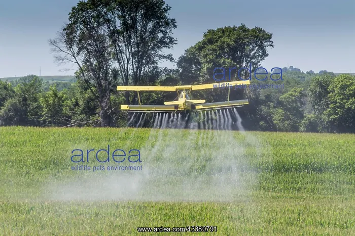 : A crop duster applies chemicals to a field of ve : A crop duster applies chemicals to a field of ve