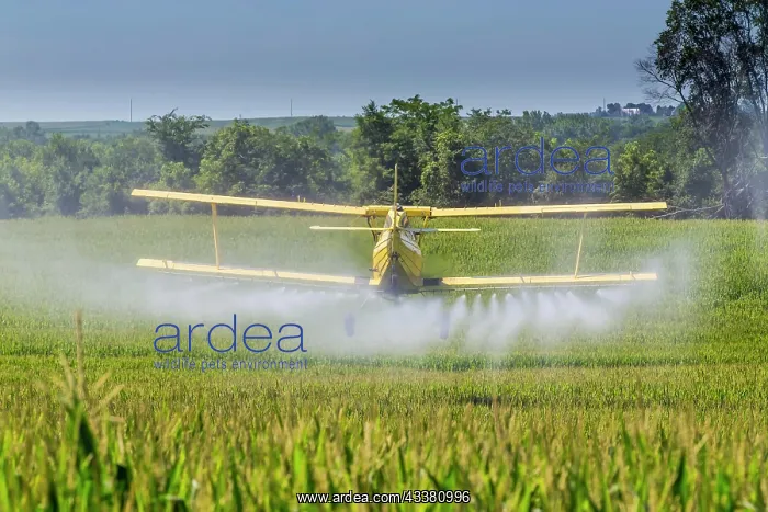 : A crop duster applies chemicals to a field of ve : A crop duster applies chemicals to a field of ve