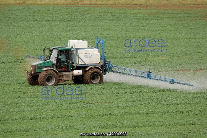 : Crop Spraying - Spraying of herbicides on oil-seed : Crop Spraying - Spraying of herbicides on oil-seed