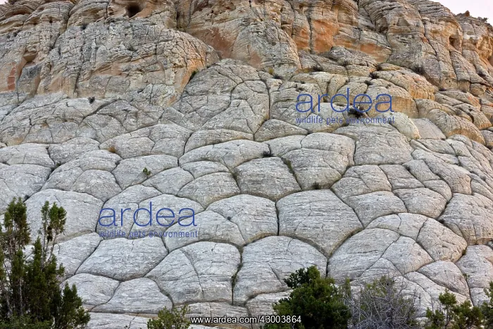 : Cross-bedded Navajo sandstone rock (fossilised : Cross-bedded Navajo sandstone rock (fossilised