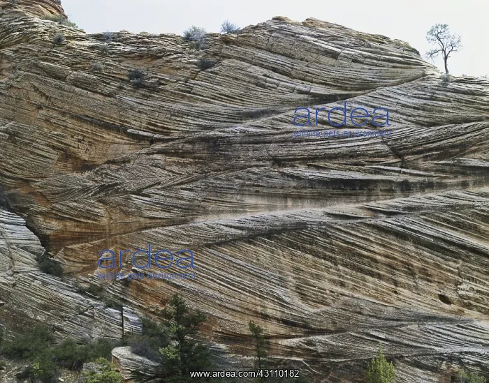 : Cross-bedded Sandstone : Cross-bedded Sandstone