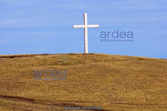 : Cross - a giant cross mounted on a hill in the : Cross - a giant cross mounted on a hill in the