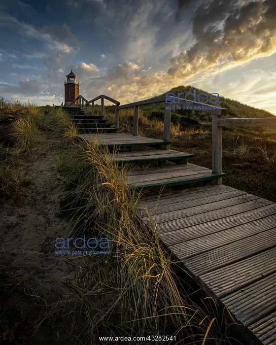 : Cross light, lighthouse with sand dune in the evening : Cross light, lighthouse with sand dune in the evening