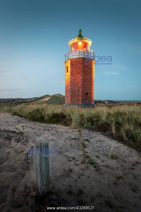 : Cross light, lighthouse with sand dune in the evening : Cross light, lighthouse with sand dune in the evening