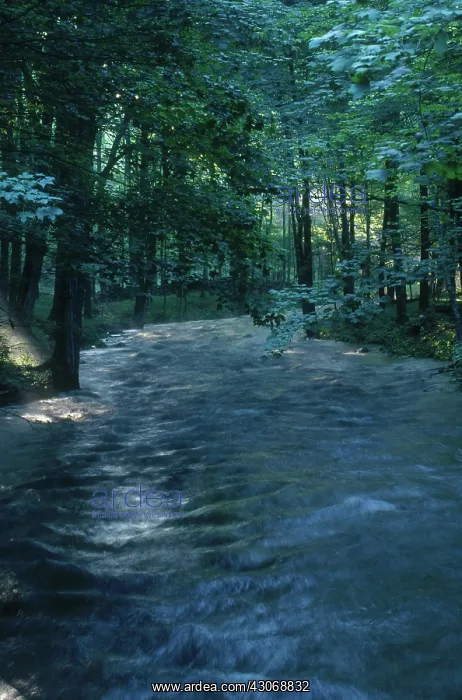 : Cross River, New York : Cross River, New York