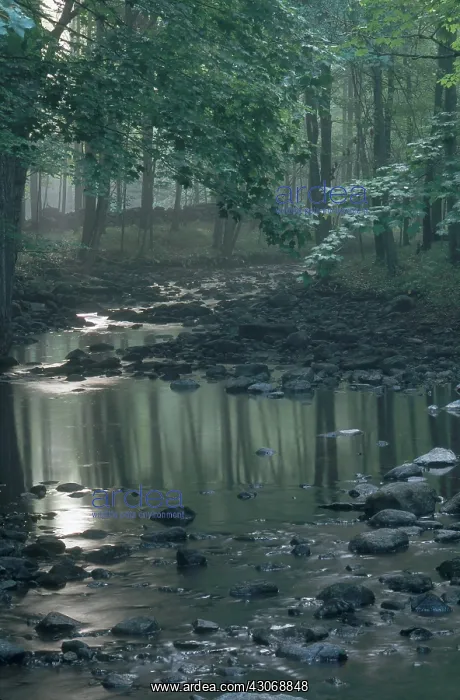 : Cross River, New York : Cross River, New York