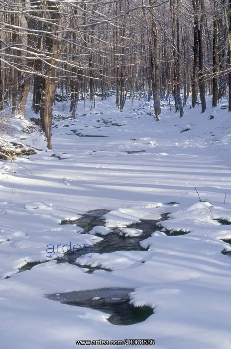 : Cross River, New York : Cross River, New York