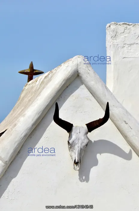 : the cross udes to fix the house on windy days : the cross udes to fix the house on windy days