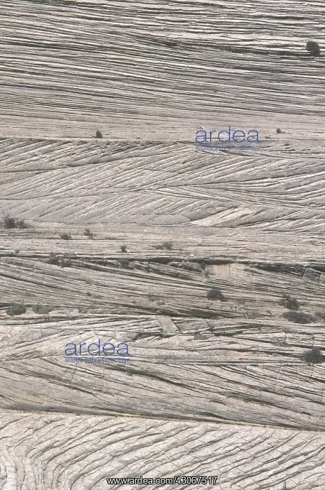 : Crossbedding in Utah : Crossbedding in Utah