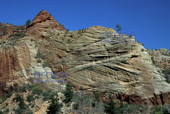 : Crossbedding, Utah : Crossbedding, Utah