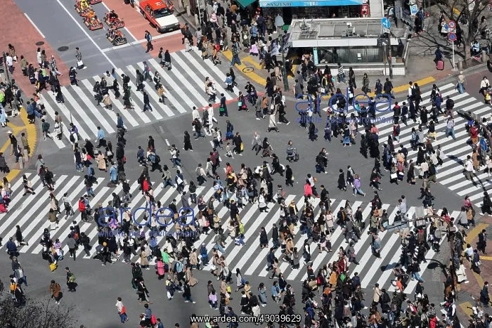 : Crowds crossing the Shibuya pedestrian crossing : Crowds crossing the Shibuya pedestrian crossing