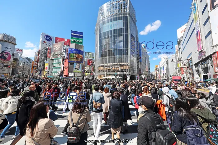 : Crowds crossing the Shibuya pedestrian crossing : Crowds crossing the Shibuya pedestrian crossing
