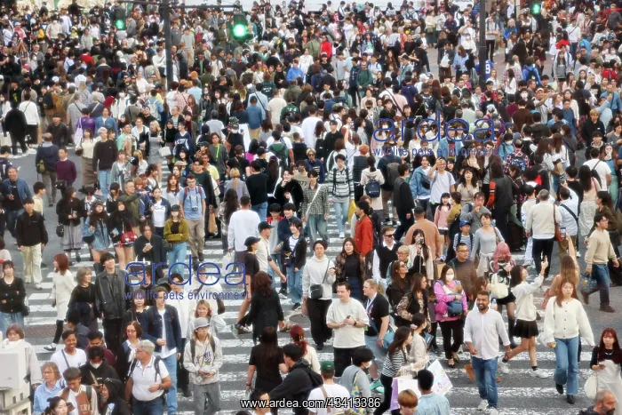 : Crowds crossing Shibuya Scramble crossing, Shibuya, Tokyo, J : Crowds crossing Shibuya Scramble crossing, Shibuya, Tokyo, J