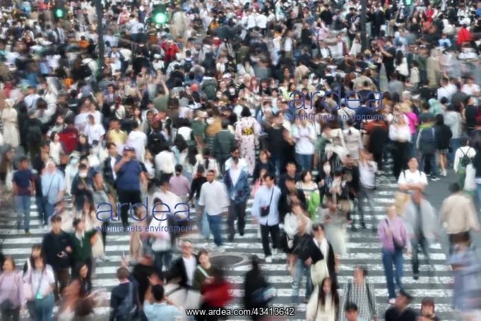 : Crowds crossing Shibuya Scramble crossing, Shibuya, Tokyo, J : Crowds crossing Shibuya Scramble crossing, Shibuya, Tokyo, J