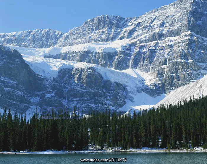 : Crowfoot Glacier, Banff : Crowfoot Glacier, Banff