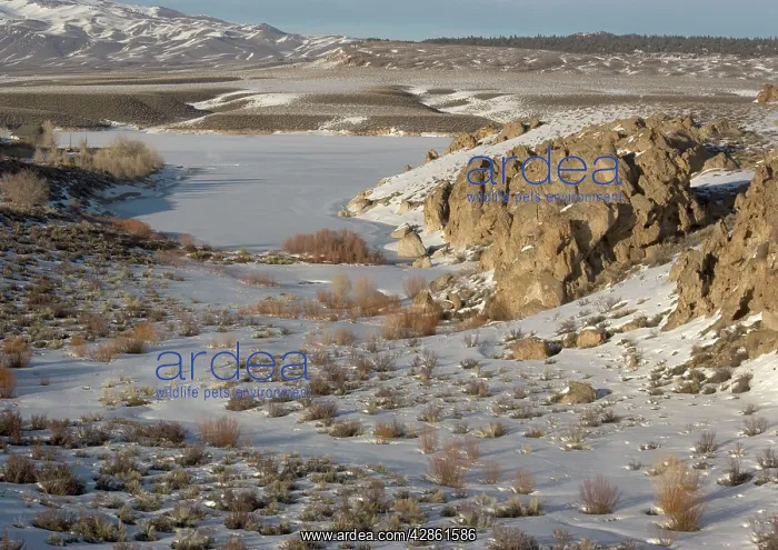 : Crowley Lake Reservoir : Crowley Lake Reservoir