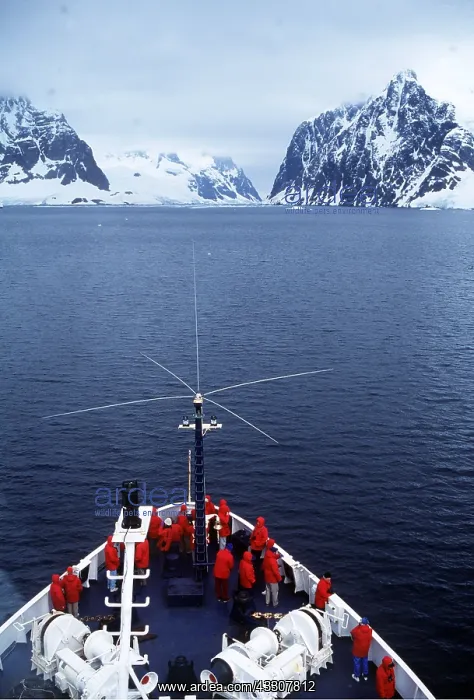 : CRUISE SHIP IN ANTARCTICA : CRUISE SHIP IN ANTARCTICA