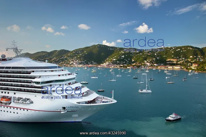 : Cruise ship Carnival Victory leaving port : Cruise ship Carnival Victory leaving port