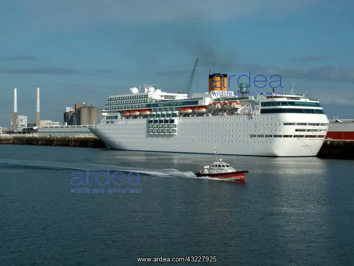 : Cruise Ship, Costa Romantica, Pilot Boat : Cruise Ship, Costa Romantica, Pilot Boat