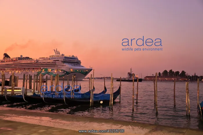 : Cruise Ship and Gondolas near entrance of : Cruise Ship and Gondolas near entrance of