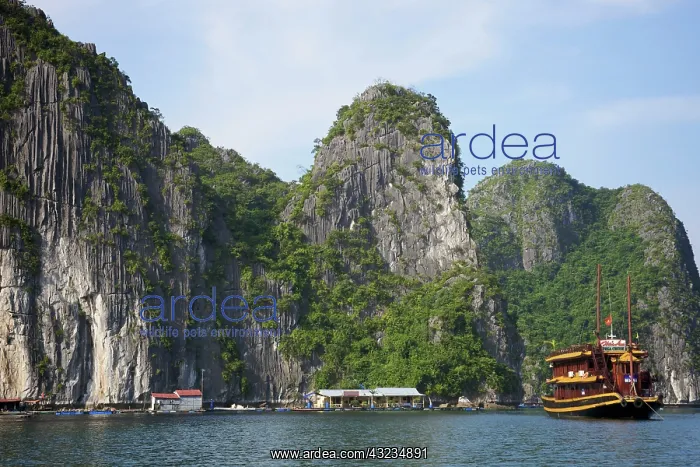 : Cruise ship, karst formations in the background : Cruise ship, karst formations in the background