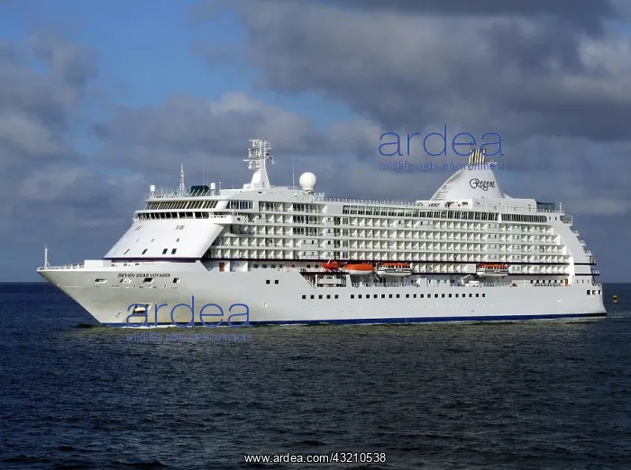 : Cruise Ship, Le Havre, Normandy, France : Cruise Ship, Le Havre, Normandy, France